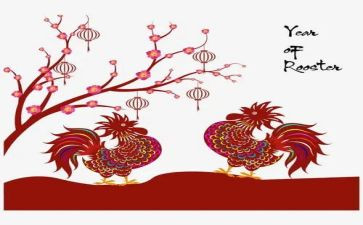 四年级《母鸡》教案6篇