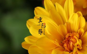 佳节类作文优秀8篇