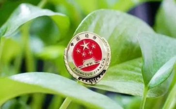 上检察官的课心得体会5篇