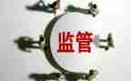 村监督委工作总结最新6篇