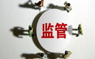 2024年食品监管工作总结8篇