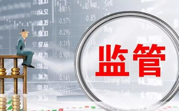 监管工作个人总结6篇