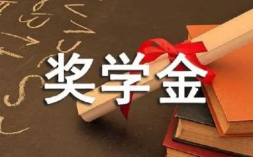 奖学金学生个人事迹6篇