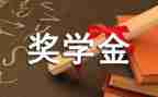 奖学金学生个人事迹6篇