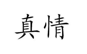 真情是爱作文模板5篇