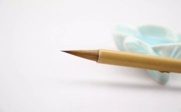 财务人员检讨书范文7篇