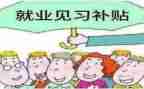 教师岗见习期工作总结优质6篇