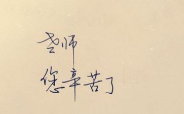 教师个人述职报告范文8篇