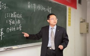 教师岗年度工作总结参考6篇