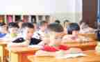竖的教学教案5篇