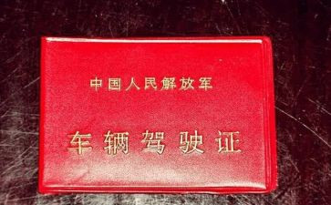 考驾照科的心得体会5篇