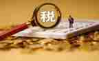 2024年稽查员工作月总结精选6篇