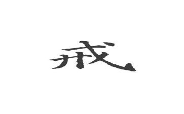 以案为戒警察心得体会推荐6篇