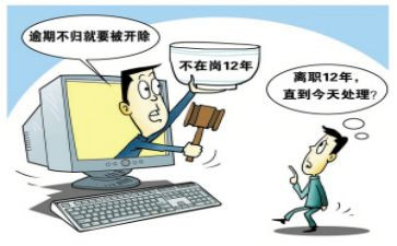 借调期工作总结7篇