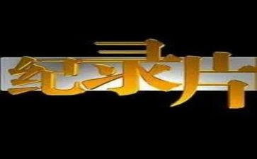 纪录片铁在烧心得体会精选7篇