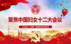 巾帼女标兵先进事迹7篇