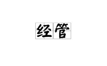 2024年经管工作总结5篇