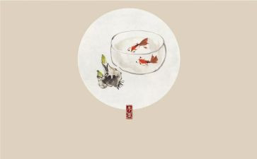 24节气活动总结6篇