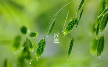 24节气的心得体会6篇
