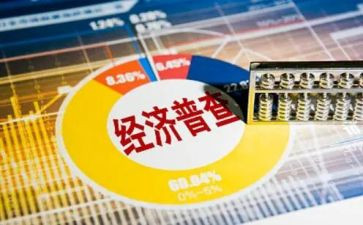 四经普的工作总结报告模板8篇