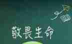 敬畏自然作文400字6篇