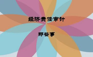 经责个人审计工作总结8篇