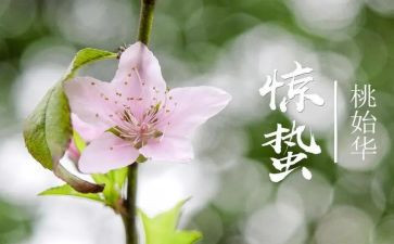写惊蛰的作文优质5篇