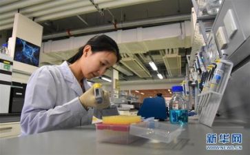 2024年技术部工作总结参考7篇