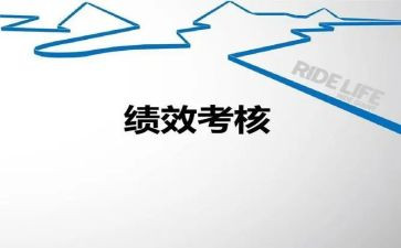 教师绩效个人总结5篇