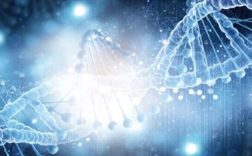 传承红色基因,争做时代新人活动策划6篇