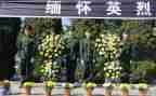 清明祭英烈活动总结8篇