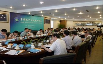 局局长述职报告8篇