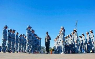 300字军训心得体会8篇