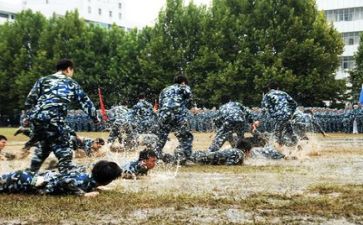 军训培训总结心得体会6篇