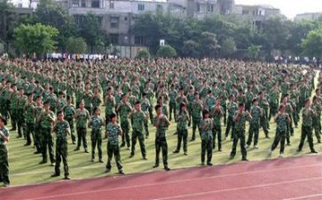 军训心得体会100字范文7篇