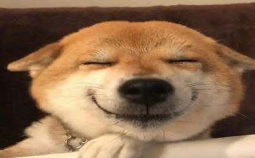 我开心作文600字6篇