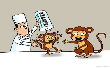 克隆有关的作文5篇