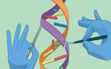 六科学教师个人总结5篇