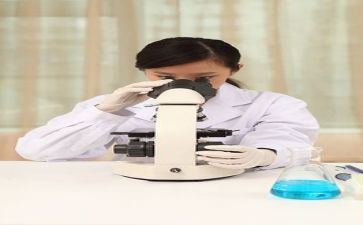 个人科研工作总结8篇