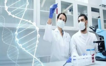 科研工作总结报告推荐5篇