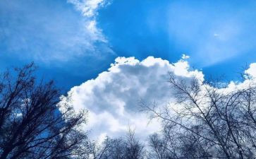 空气调查报告6篇
