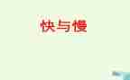 以快与慢为题的作文800字模板5篇