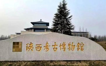 来陕报告的心得体会推荐5篇