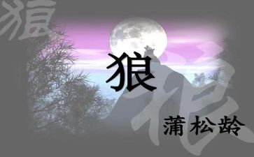 《狼》读后感100字精选7篇