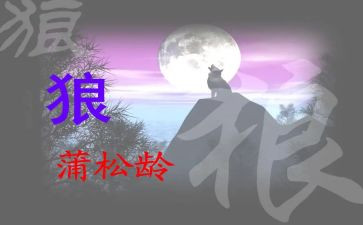 《狼》读后感500字优秀5篇