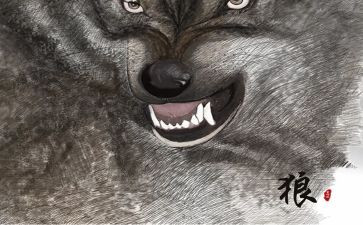 《狼》读后感200字5篇
