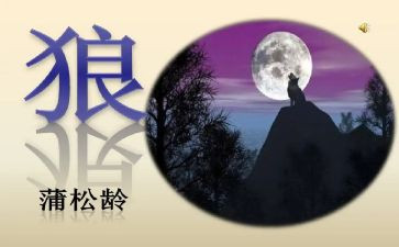 《狼》读后感300字通用5篇