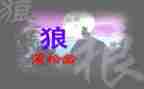 《狼》读后感100字7篇