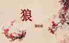 《狼》读后感100字最新7篇