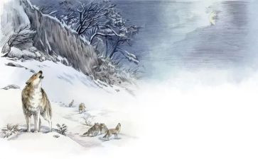 狼王梦心得体会600字6篇
